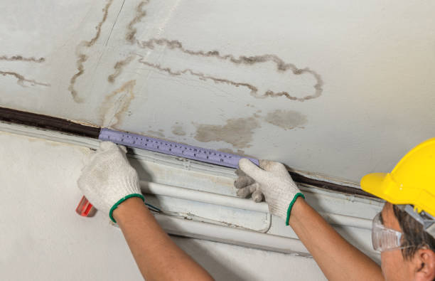 Reliable Structural Drying contractor in Weehawken, NJ by Water Damage Irwin